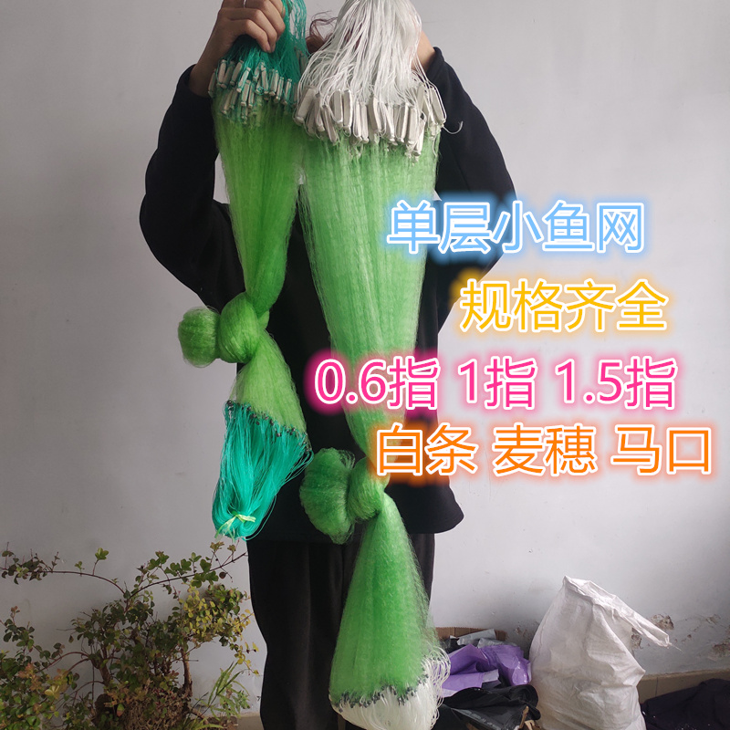 单层白条麦穗马口小鱼网