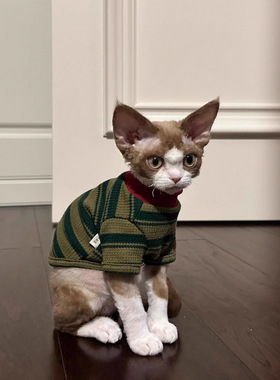 猫咪衣服春夏季2025新款条纹两脚衣可爱无毛猫蓝猫布偶猫幼猫背心