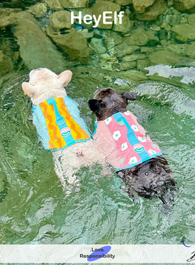 HeyElf狗泳衣宠物救生衣法斗巴哥浮力游泳衣服比熊边牧户外防溺水