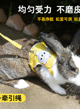 兔子牵引绳兔子背心式防挣脱溜兔绳子可调节外出绳用品宠物兔专用