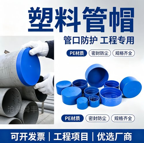 舜丰塑料内螺纹防尘管帽