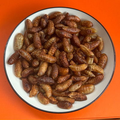 瓦片炕干马蜂蛹干新鲜冷冻地蜂蛹