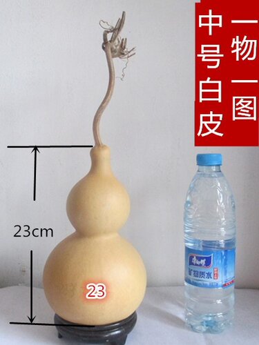天然原色本色白皮大葫芦摆件