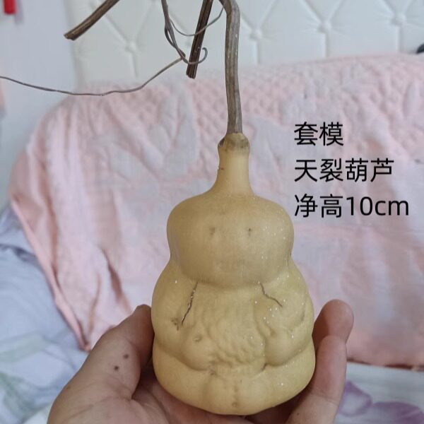 一个天然异形套模天裂小葫芦103号