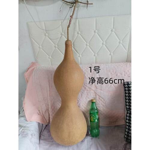 天然大精品白皮葫芦精挑细选一物一图摆件工艺品艺术欣赏30-40cm - 封面