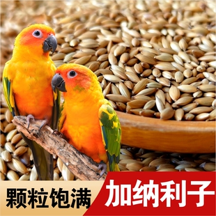 鹦鹉鸟粮虎皮鸟食加纳利子饲料零食粮食牡丹用粮玄风鹦鹉粮