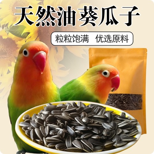 鹦鹉鸟粮饲料鸟食油葵小瓜子奖励零食鹦鹉玄凤虎皮牡丹用鸟粮食