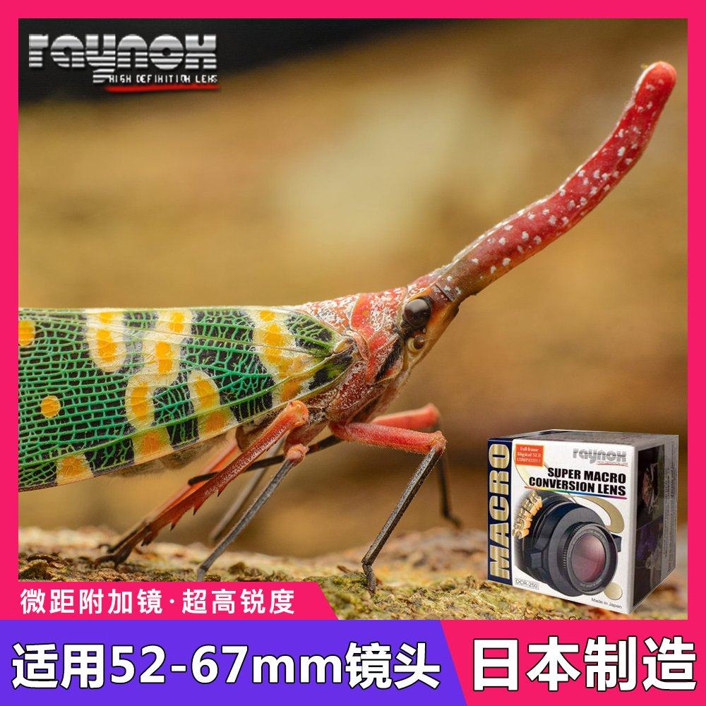 日本Raynox DCR250单反相机近摄微距特写镜头转接环放大镜52-67MM