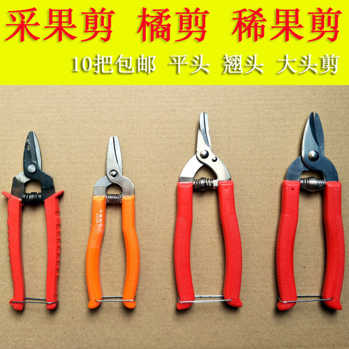 橘剪刀 剪钳 修果修枝桔子剪采摘剪 名钻农帮手不锈钢采果剪包邮