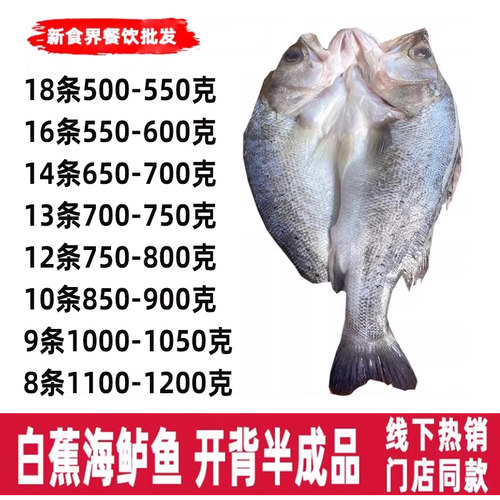 白蕉海鲈鱼开背腌制七星商用
