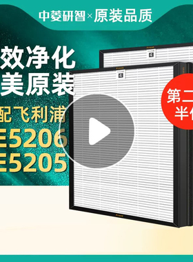 适用除湿机DE5206 DE5205空气净化器过滤网FY1119滤芯