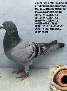 汕头大名家：陈泽泳+蒂克黄光侠 483公里418名 487公里240名