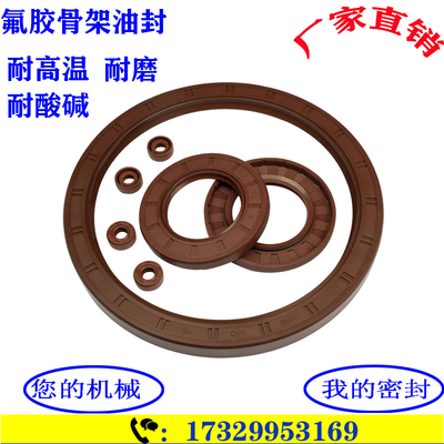 祺赛恒广州氟胶耐高温酸碱油封