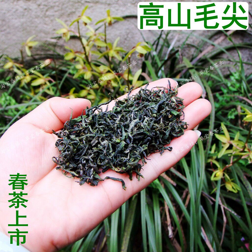 2025年头采新茶高山毛尖250克