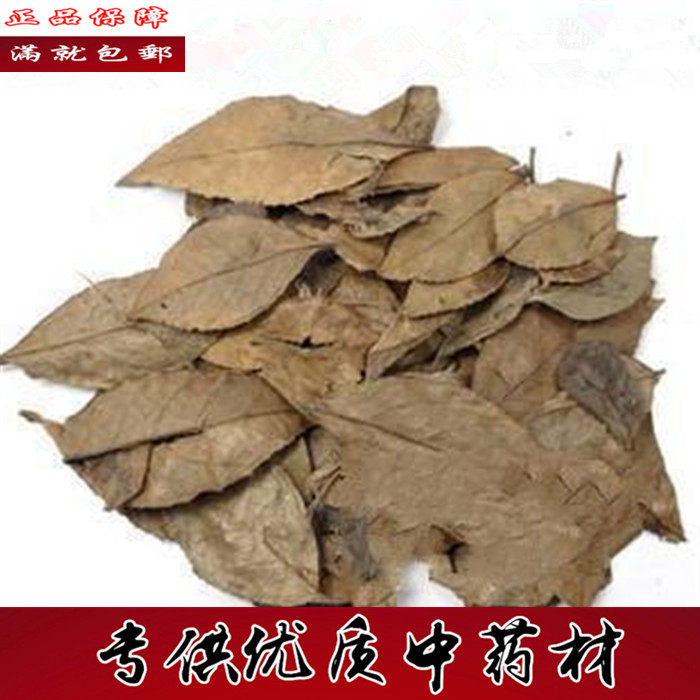 正品野生南竹叶 中药材南烛叶500克包邮南烛枝叶 墨饭叶乌饭树叶