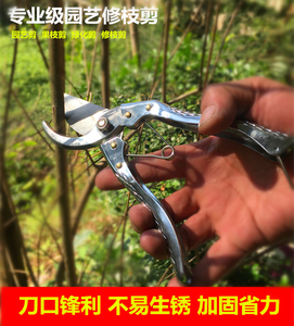 修枝剪 园林剪 花枝剪果枝剪 剪粗枝 剪树枝 不锈钢修花剪刀