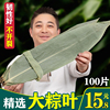 粽叶免邮新鲜大100片箬叶包粽子的叶子特大粽子叶干大号本地棕叶