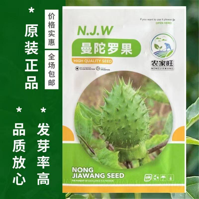 曼陀罗果种子花海花草花卉花种籽孑大全原装种子大全