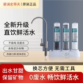 史蒂夫净水器家用直饮厨房台下式 除菌垢可清洗透视陶瓷滤芯净化器