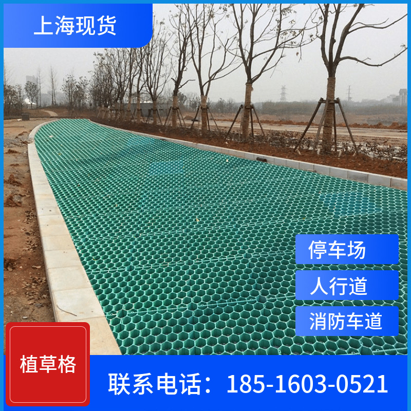 抗压塑料植草格停车场园林绿化消其它园艺用品