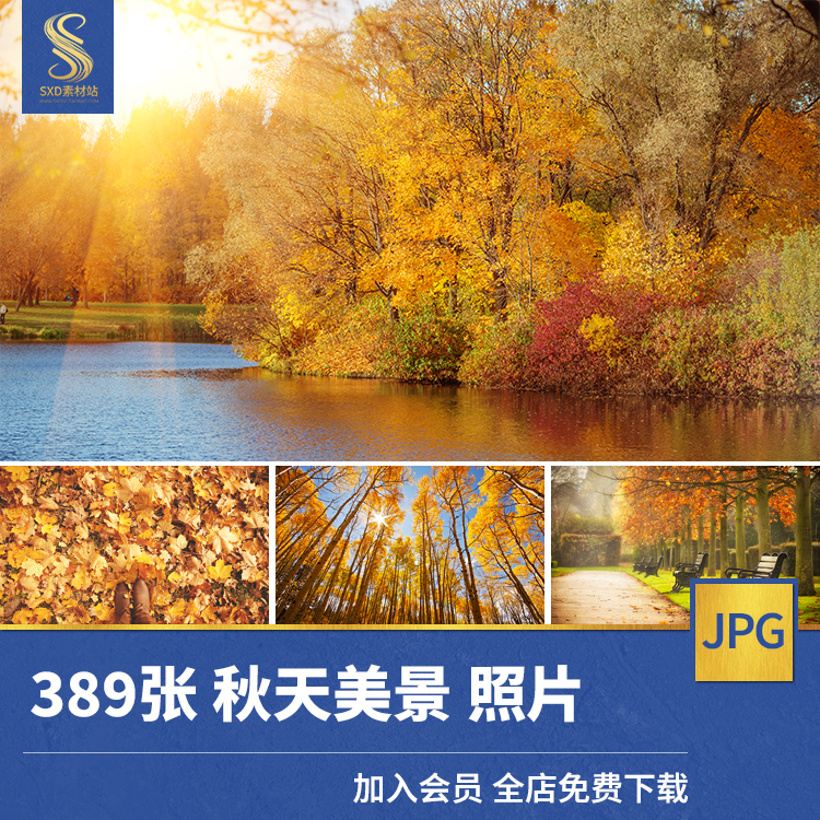 高清jpg素材秋天美景图片金黄色落叶树林枫日季节自然风光摄影照