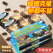 灭除蟑螂药家用厨房饭店全窝端小黑屋孕婴可用强力虫卵双杀神器
