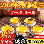 隐翅虫杀虫剂家用室内外专用药驱赶灭杀防隐刺虫隐形影翅虫 饵剂