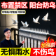 阳台窗户驱鸟神器2026新款 强力驱逐鸽子燕子飞禽防护网全自动赶吓