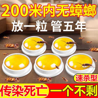 【挑战全屋无蟑螂蚂蚁】