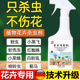 家用植物花卉杀虫剂药多肉盆栽室内除蚧壳蚜虫土壤月季 小黑飞喷雾