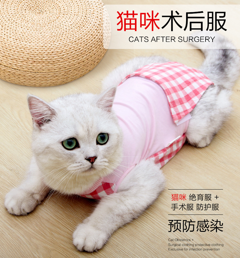 道顿新款宠物绝育服亚马逊猫咪术后服防护服手术断奶服高弹莫代尔