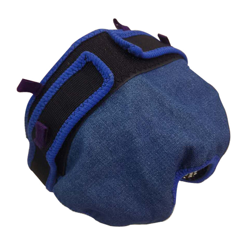 正常大小便發情生理褲子避孕母狗