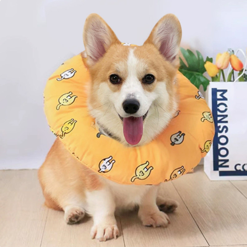 宠物伊丽莎白圈猫咪狗狗头套项圈耻辱圈绝育专用脖套防舔软圈用品,宠物/宠物食品及用品,宠物伊丽莎白圈,淘宝优惠券,粉丝福利购,淘宝优惠卷