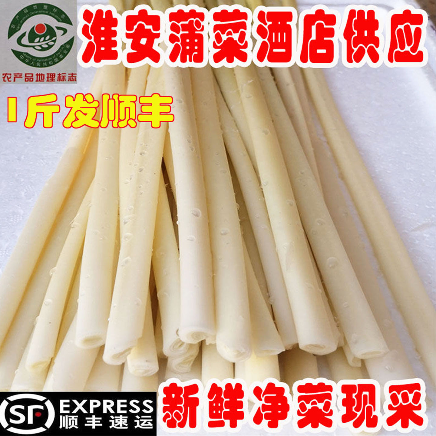 蒲菜7月份新鲜时令野菜茭白淮安特产蒲笋蒲儿菜净菜500克酒店