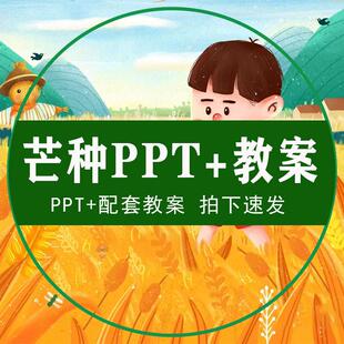芒种PPT幼儿园中大班24节气忙种配套教案传统节日课件助教进课堂