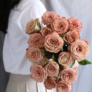 卡布奇诺玫瑰云南基地顺丰包邮直发家庭客厅办公室水养鲜切花