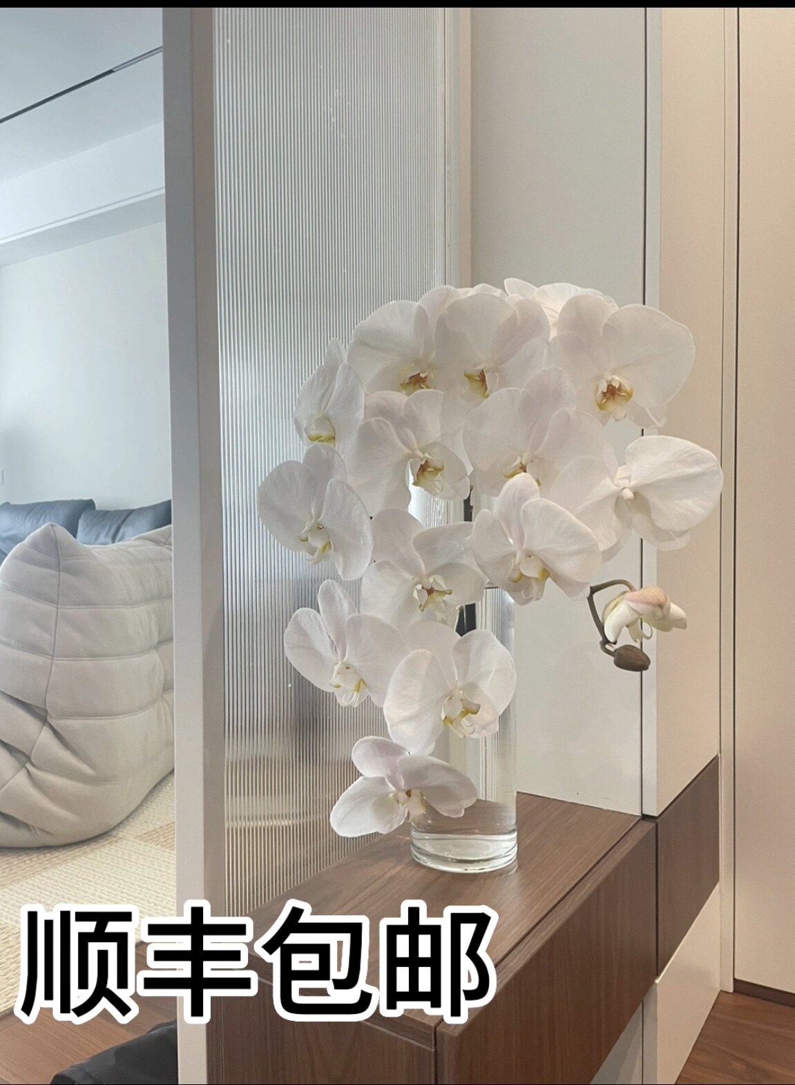 进口蝴蝶兰真花基地直发装饰室内客厅卧室办公室水养鲜切花
