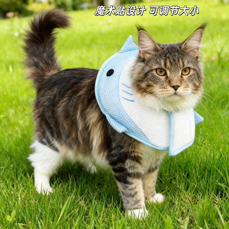宠物伊丽莎白圈猫咪术后项圈狗狗防咬防舔圈保护头套宠物防护用品