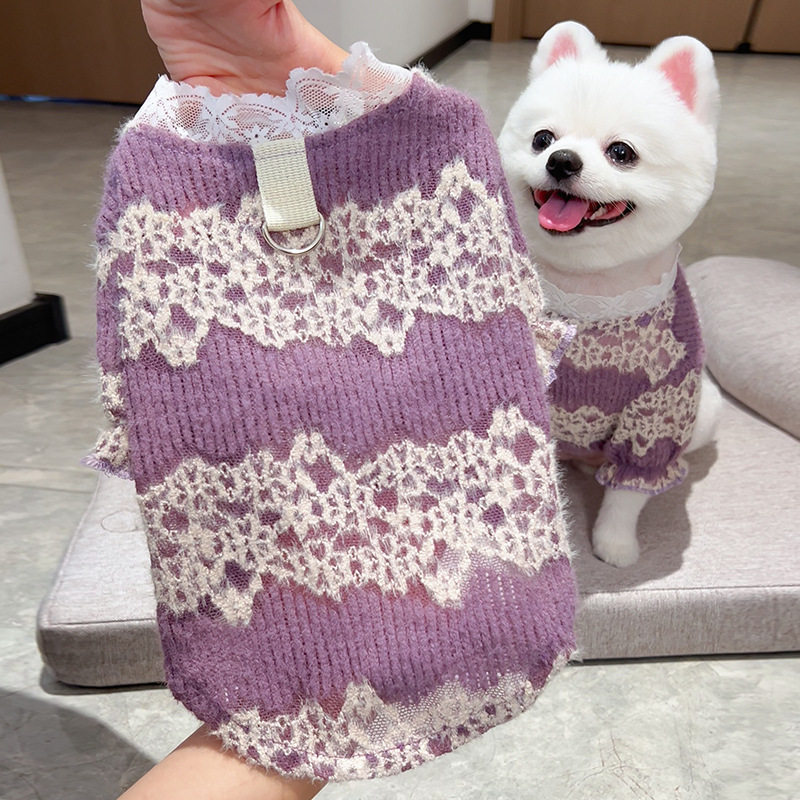 宠物狗狗猫咪衣服饰秋冬款蕾丝加绒宠物打底衫蕾丝宫廷风跨境泰迪