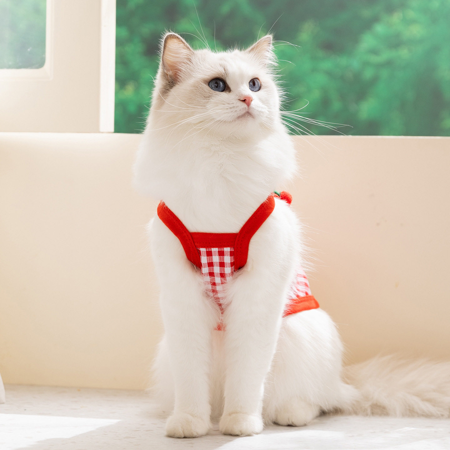 春夏立体樱桃猫咪狗吊带服