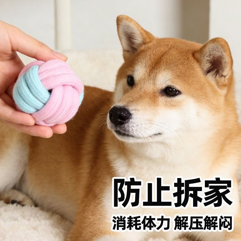 宠物绳结绳子玩具小狗成犬通用磨牙耐咬解闷狗狗互动拔河用品