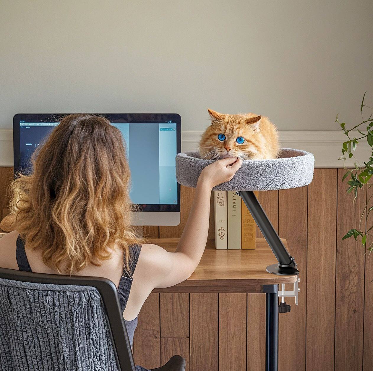 悬浮猫窝桌面猫床办公室猫爬架办公桌可爱猫咪爬架