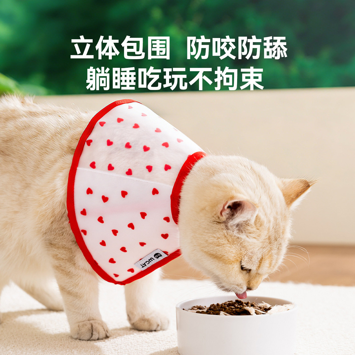 伊丽莎白圈eva猫咪术后防舔防咬保护头套狗狗软脖圈防护用品