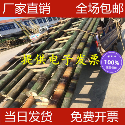 幼儿园道具电力装潢户外攀爬梯子