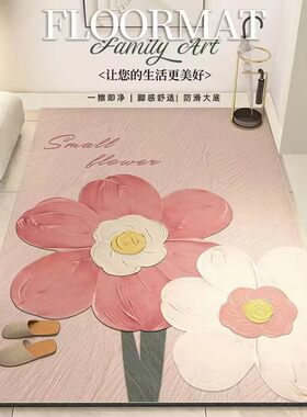 简约超薄入户门地垫可擦免洗皮革地毯油画风耐脏1mm进门玄关脚垫