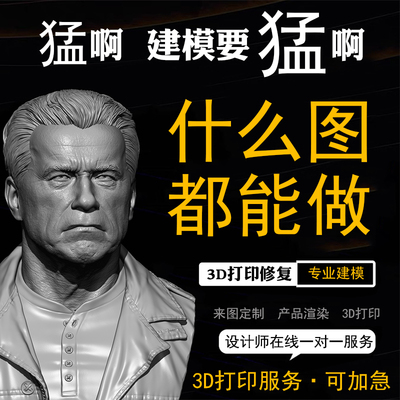 ZBrush建模 STL修图  修改模型 3D建模犀牛3dsMax 3D打印修复代画