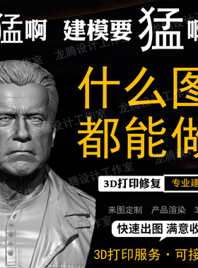 ZBrush建模 STL修图  修改模型 3D建模犀牛3dsMax 3D打印修复代画