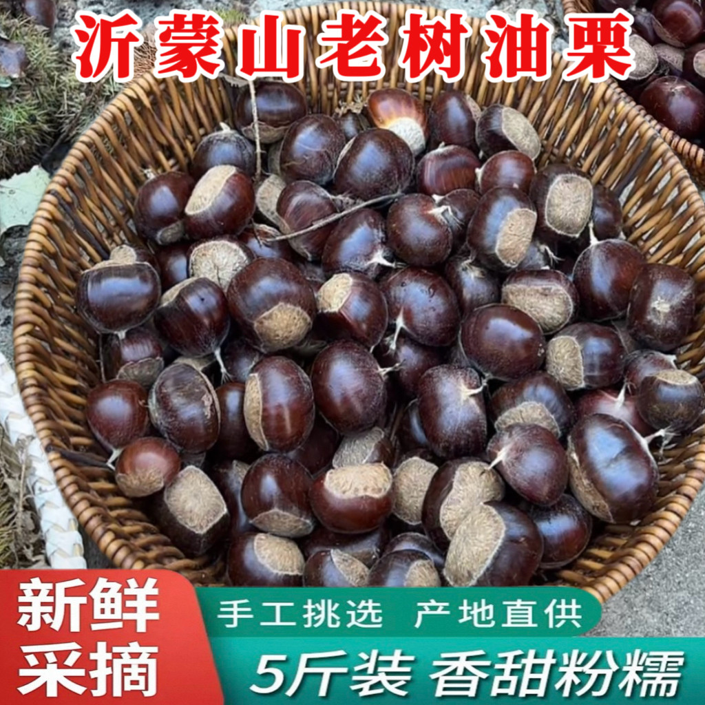 2026新货5斤装沂蒙山农家新鲜板栗正宗老树油栗野生栗子包邮