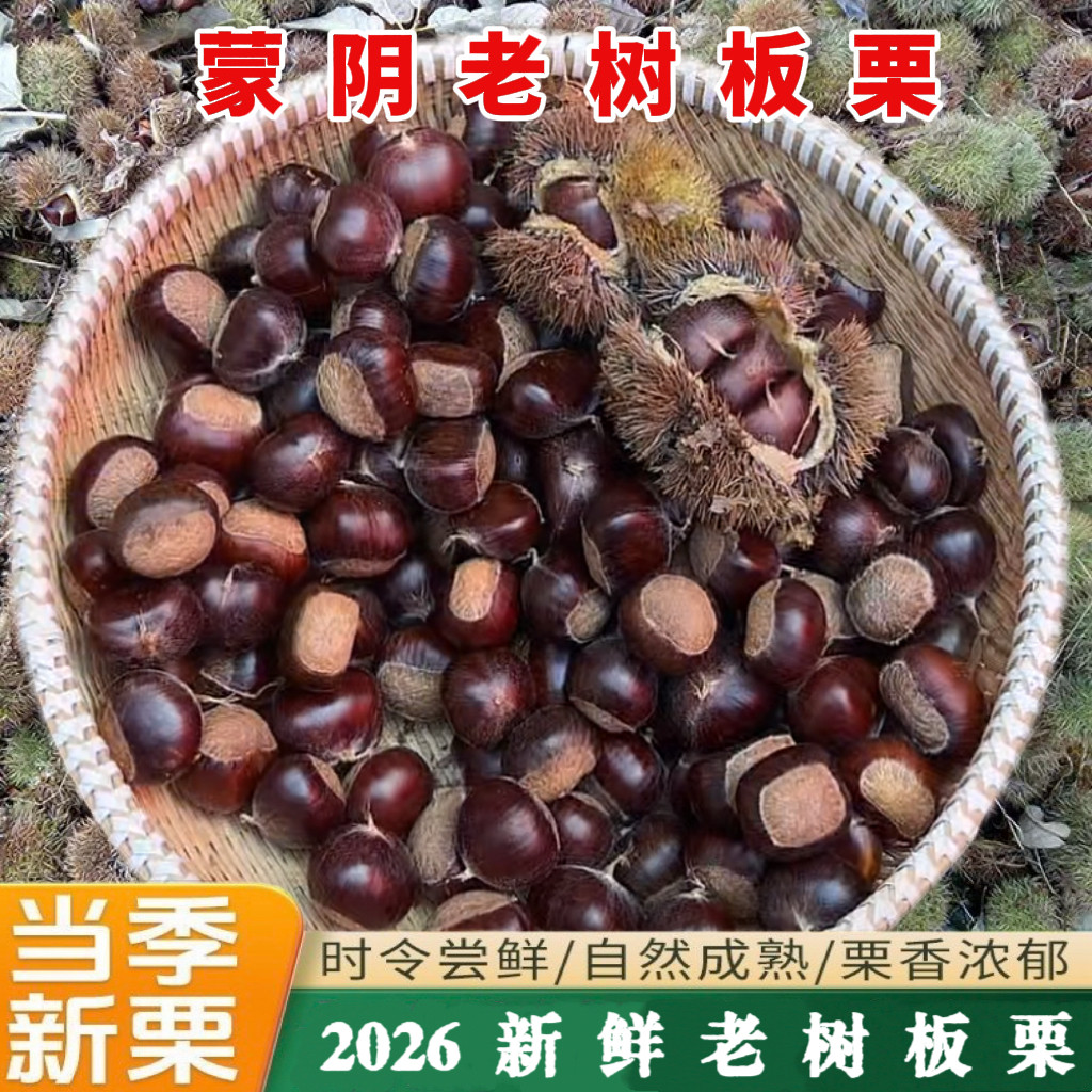 板栗生新鲜山东沂蒙山黄心油栗2026年新货当季蔬菜现摘大甜毛栗子