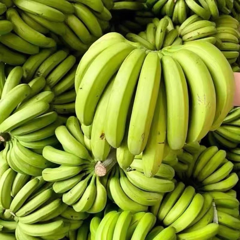 云南红河现摘大banana净重9斤新鲜水果现摘自然熟威尼斯香蕉包邮,水产肉类/新鲜蔬果/熟食,香蕉,淘宝优惠券,粉丝福利购,淘宝优惠卷